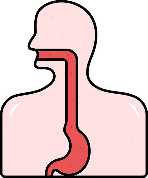 throat clipart|clip art human throat.